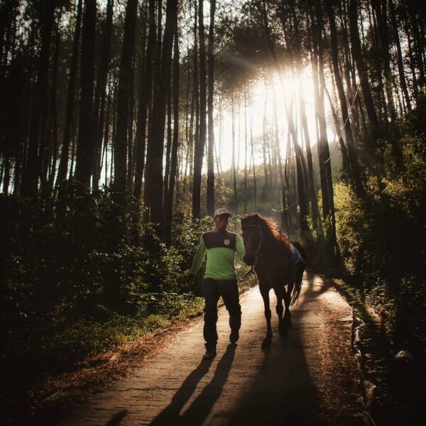 May your journey in finding a home will be peaceful. -
Photo by 
#explorebandung...