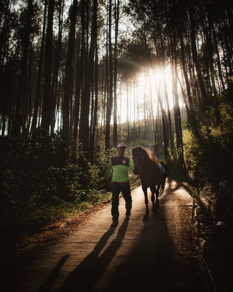 May your journey in finding a home will be peaceful. -
Photo by 
#explorebandung...