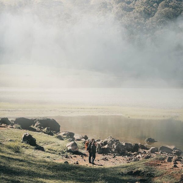 Monday peaceful mind will boost your spirit for the entire week.

Morning mist a...