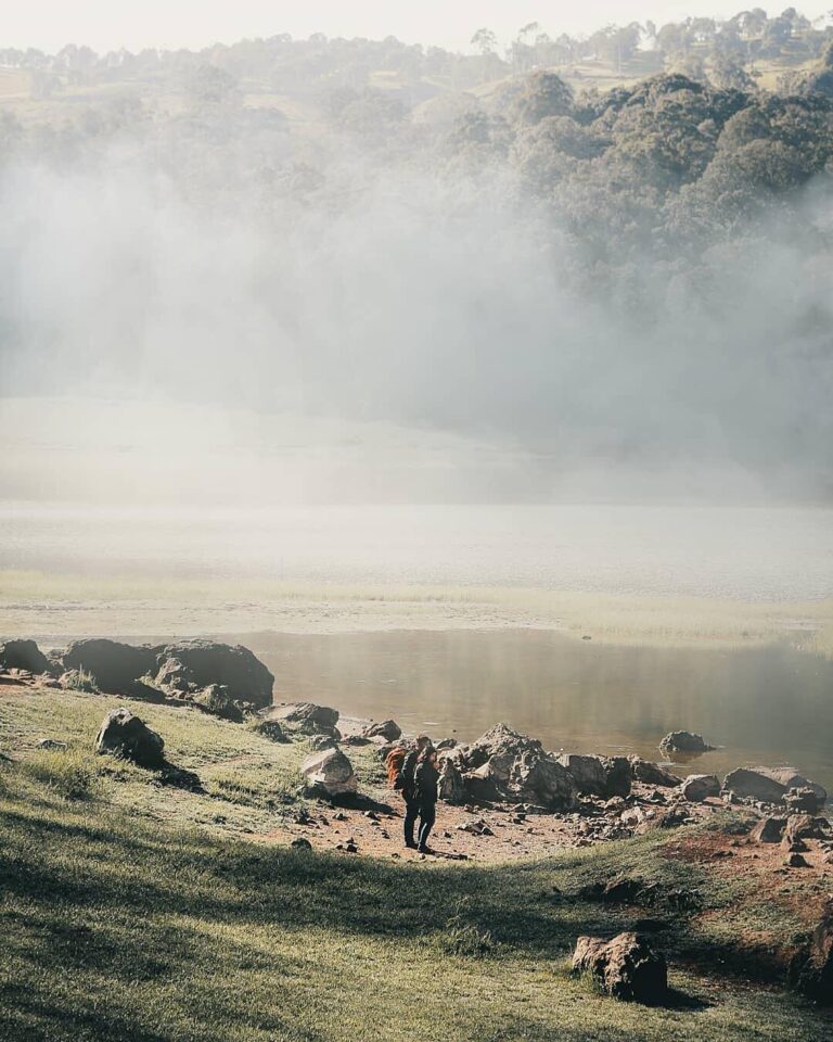 Monday peaceful mind will boost your spirit for the entire week.

Morning mist a...