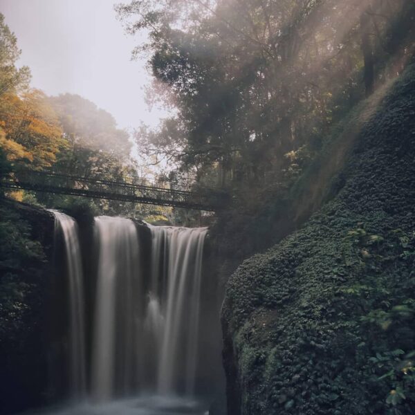 Move swiftly like the waterfall as if nothing will holds you down.
-

Photo by  ...