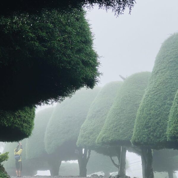Neverland does exist.
-
Hazy morning in Rancabolang taken by 
#explorebandung...