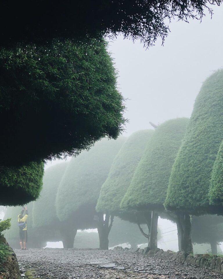 Neverland does exist.
-
Hazy morning in Rancabolang taken by 
#explorebandung...