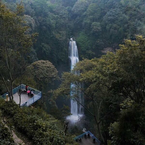 One way to express your gratitude to nature is through the act of protecting and...