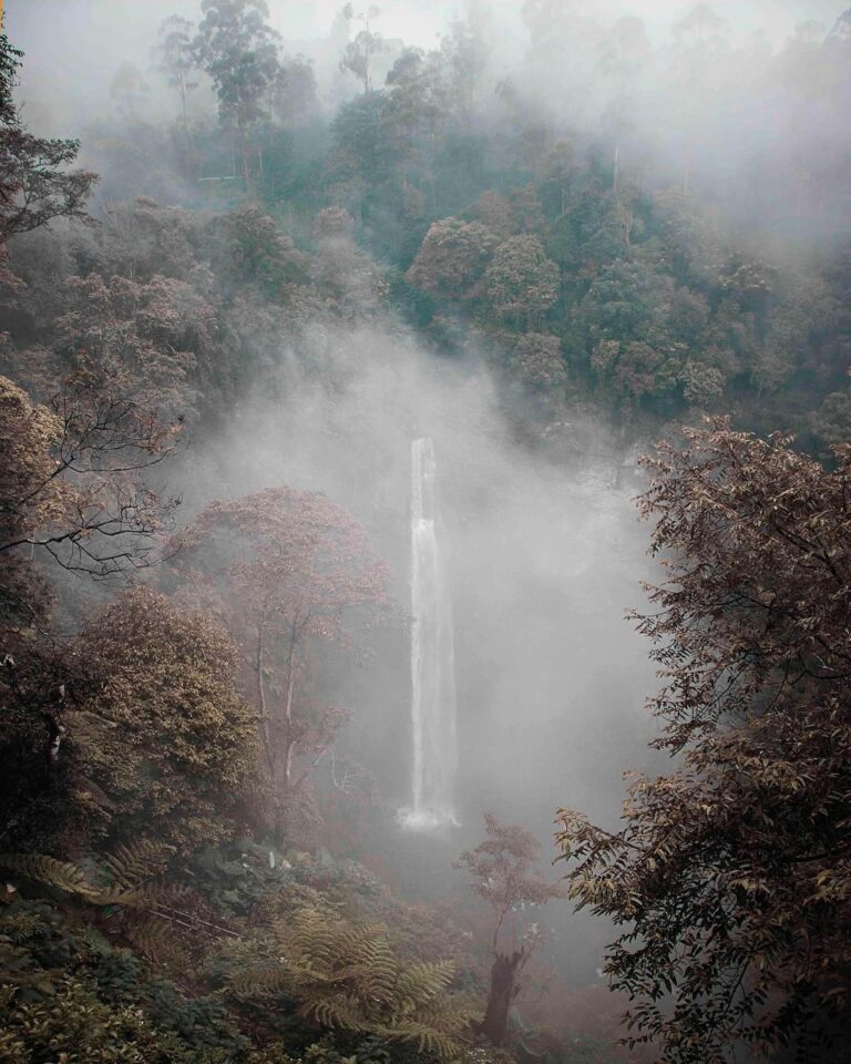 Paradise is everywhere if you believe.
-

Photo by  
#explorebandung...