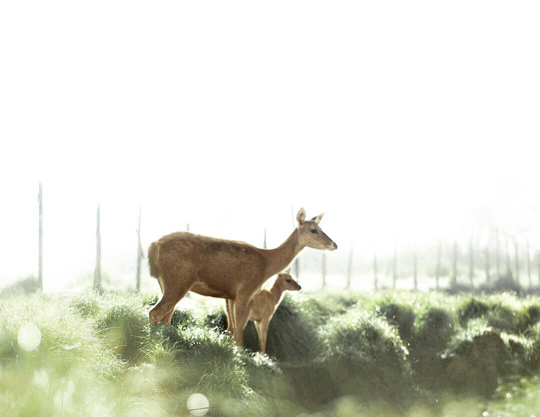 Rancaupas is a perfect destination for kids to learn about taking care of nature...