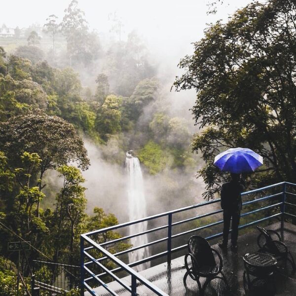 Recharge your soul with the earth’s energy. Captured by  
#explorebandung...