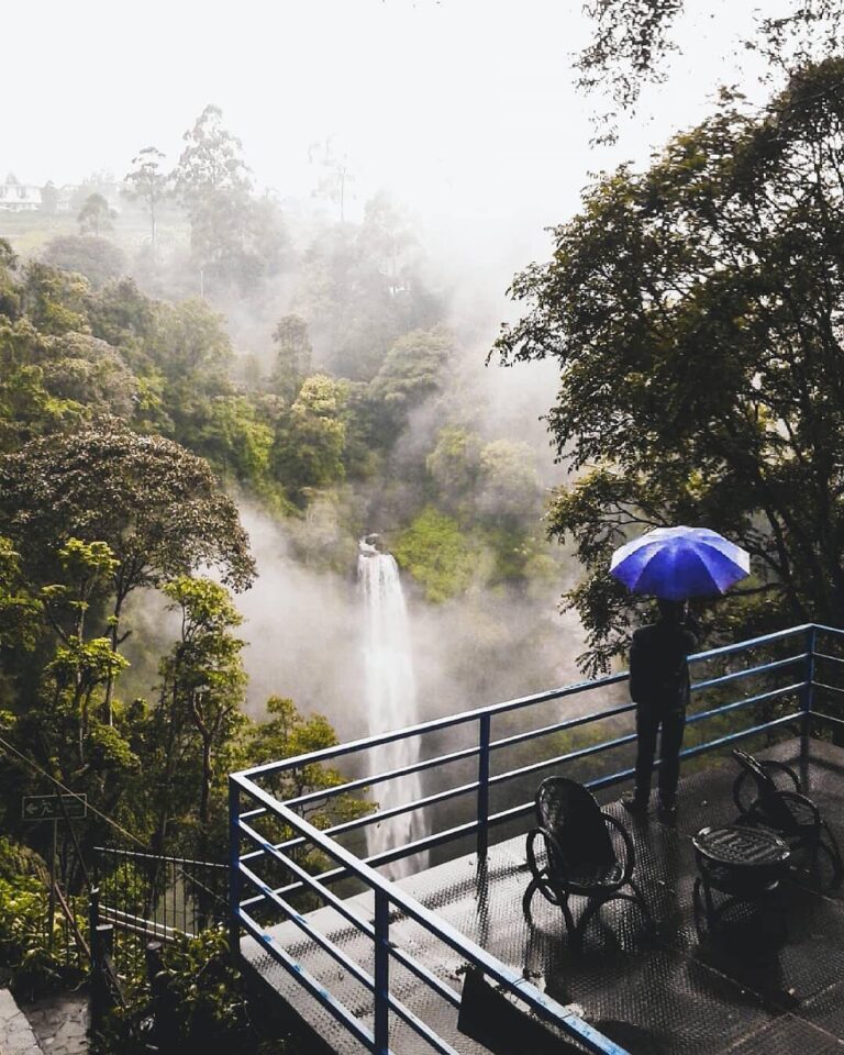Recharge your soul with the earth’s energy. Captured by  
#explorebandung...
