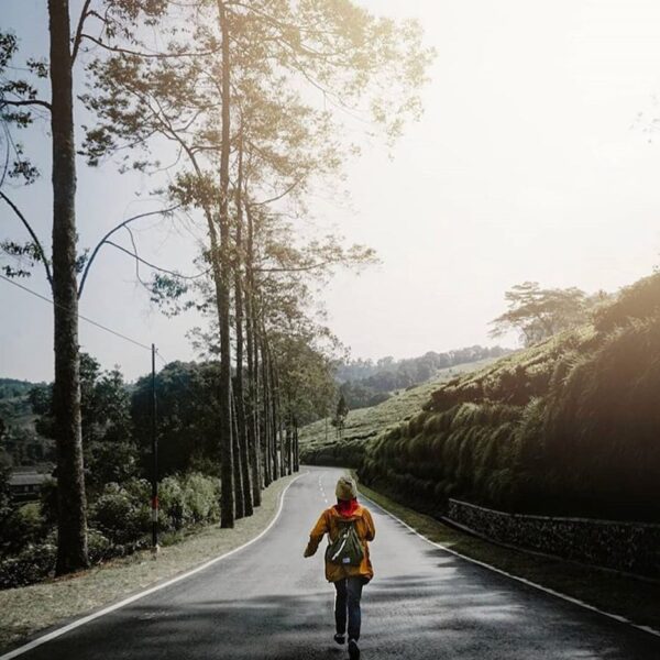 Run because you want to test your limit.
-

Photo by  #explorebandung...