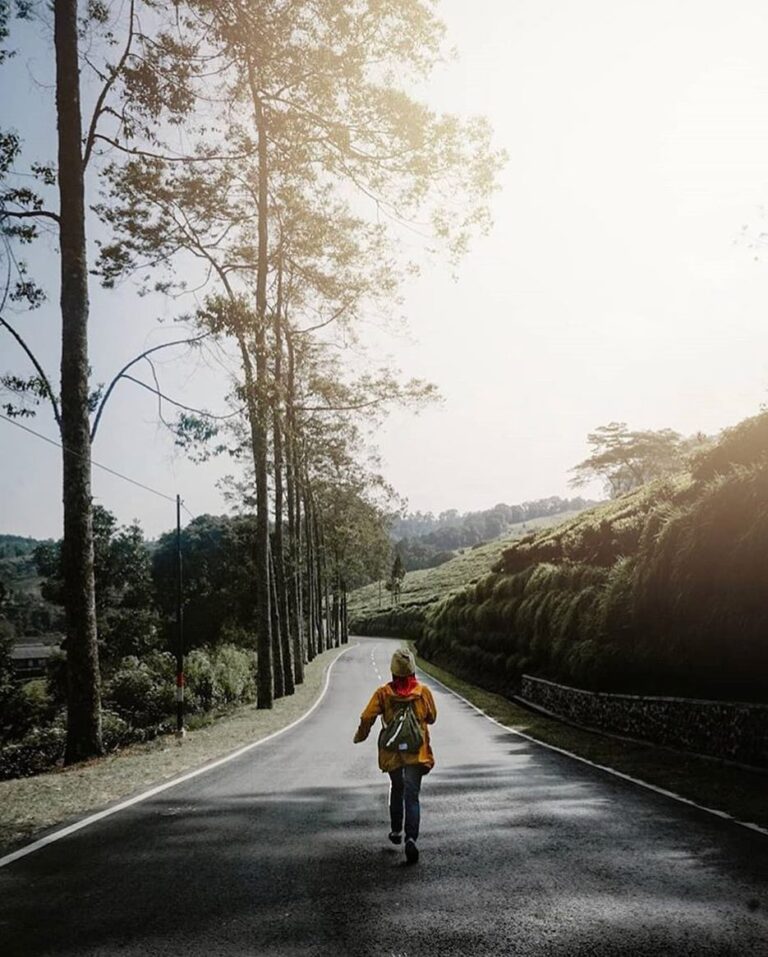 Run because you want to test your limit.
-

Photo by  #explorebandung...