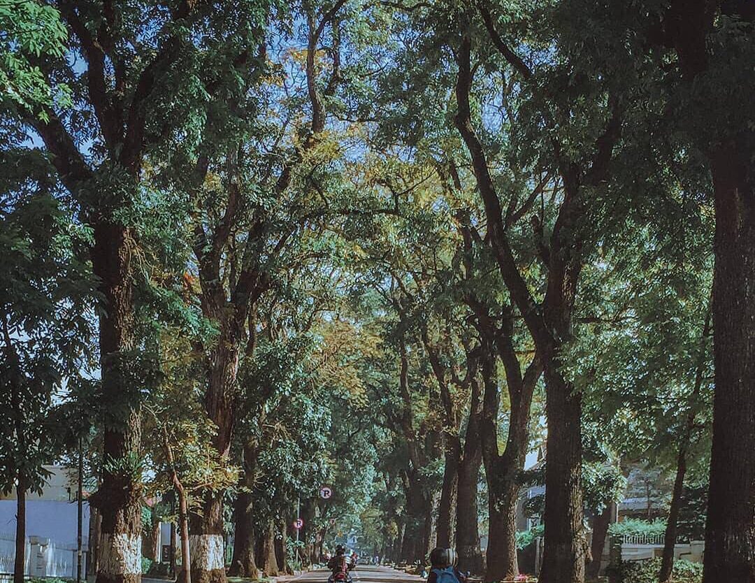 Shady trees at Cipaganti let you hidden from the sunlight for a brief moment. Ca...