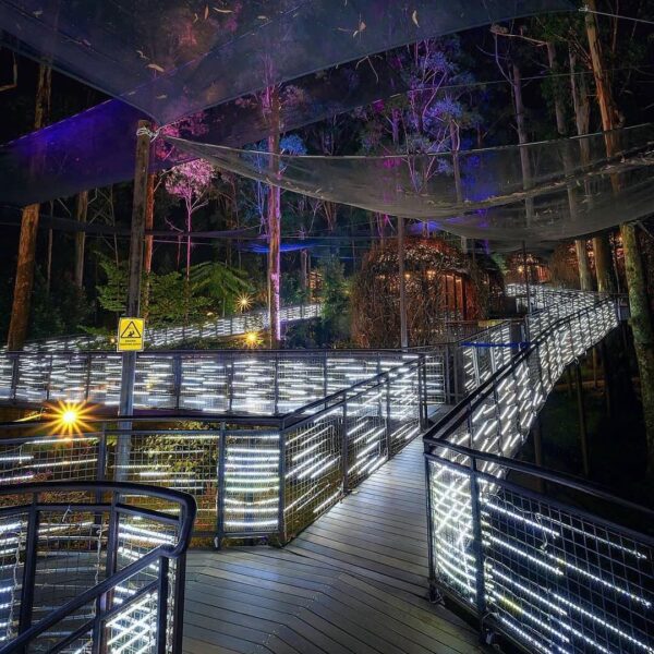 Sometimes the night is more alive and more richly colored than the day.
-
Photo ...