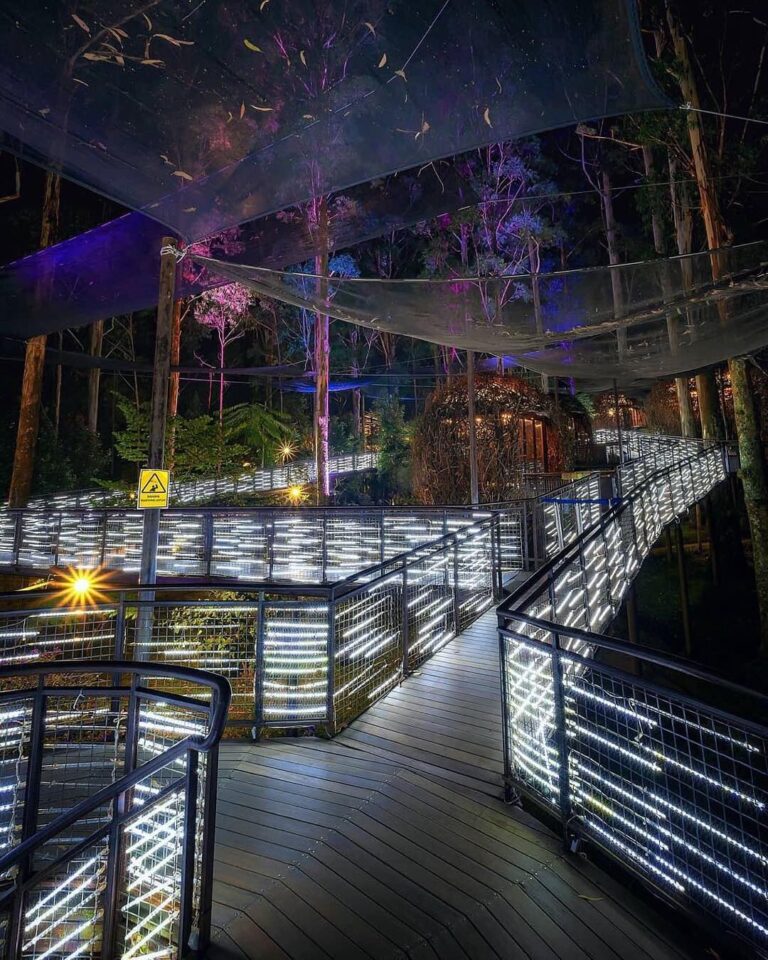 Sometimes the night is more alive and more richly colored than the day.
-
Photo ...