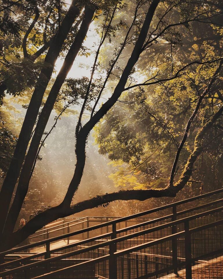 Soothing view of Babakan Siliwangi by  
#explorebandung...