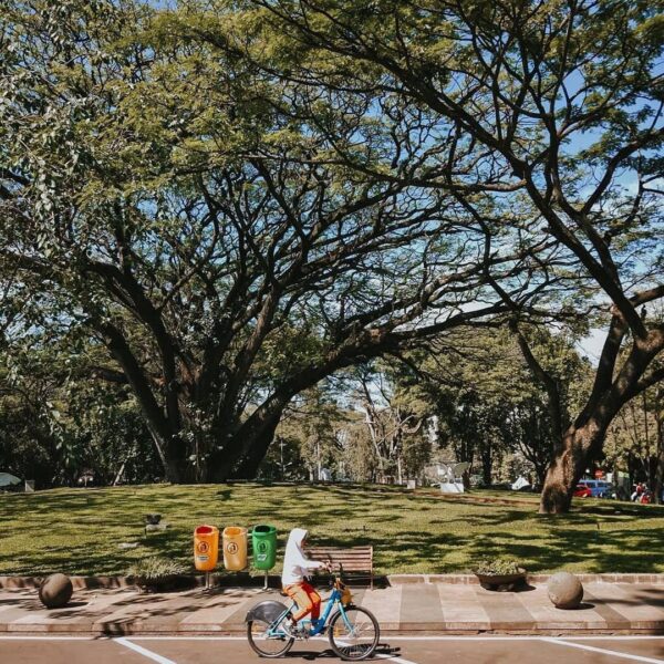 Sunny day means it’s perfect day to take your families to Balai Kota Bandung.
-
...