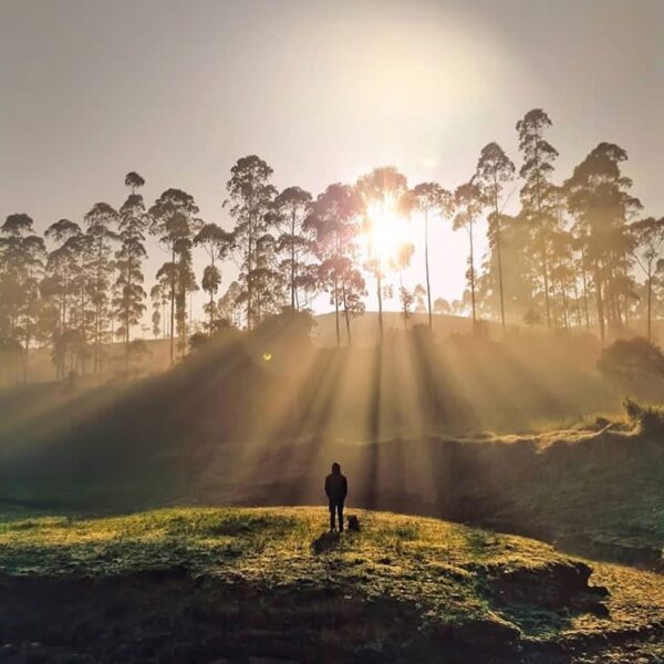 Sunrise, one of the beautiful greeting you could experience everyday.
-

Pangale...