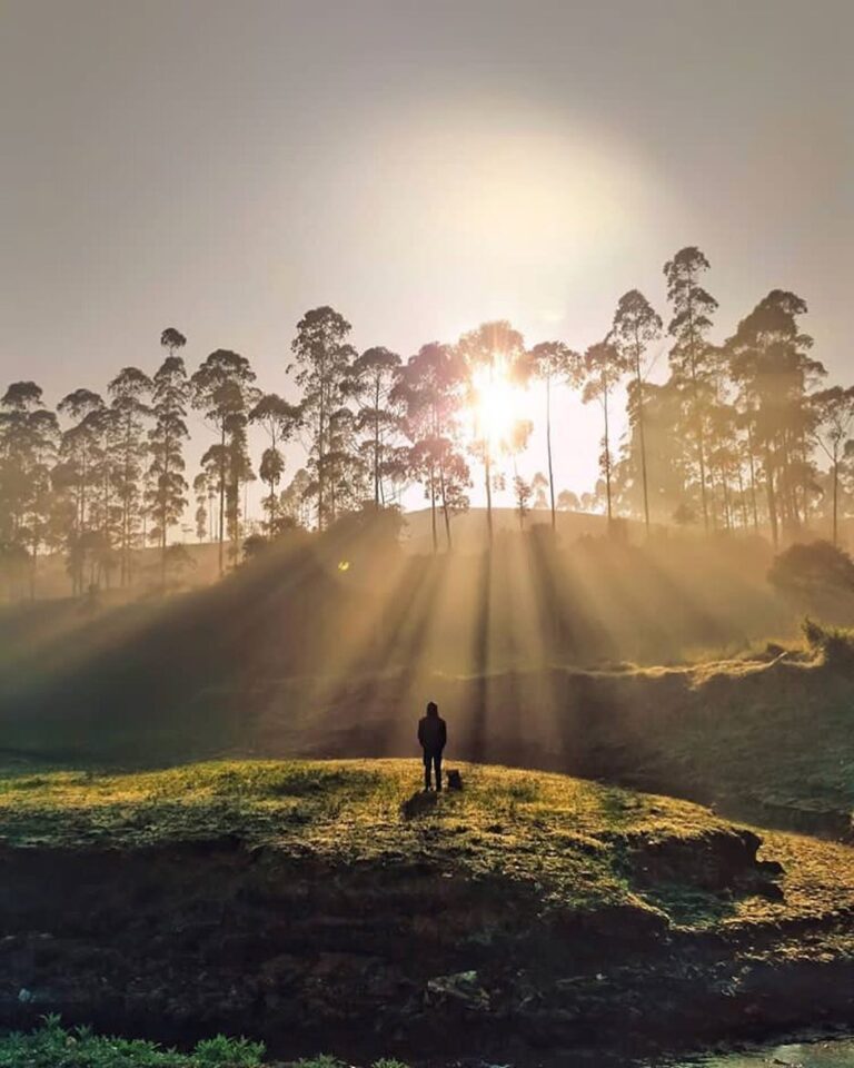 Sunrise, one of the beautiful greeting you could experience everyday.
-

Pangale...