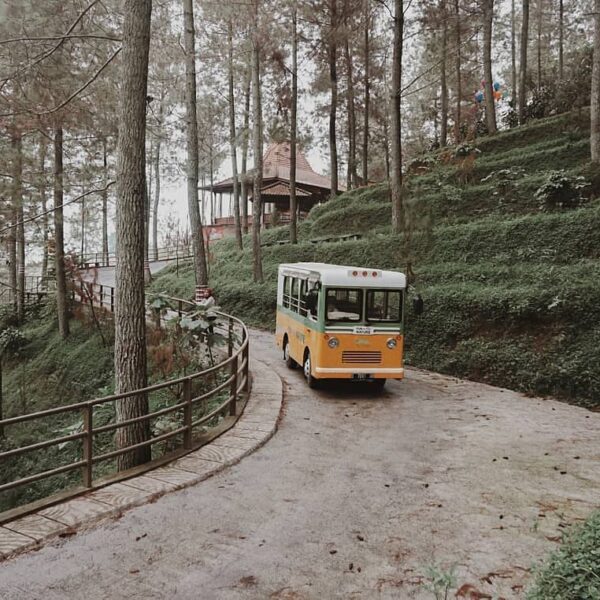 Take a ride to the heart of the forest.
-
Dago Dreampark Taken by 
#explorebandu...