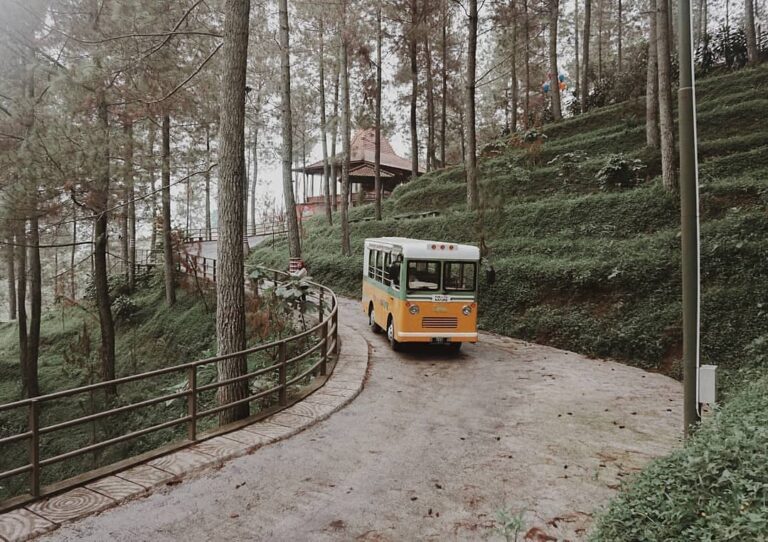 Take a ride to the heart of the forest.
-
Dago Dreampark Taken by 
#explorebandu...