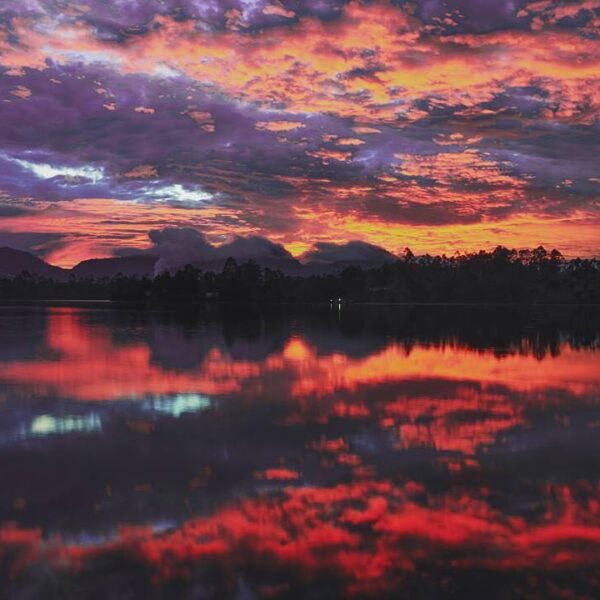 The mixture of orange and purple is like a perfect artwork painted on the sky. C...