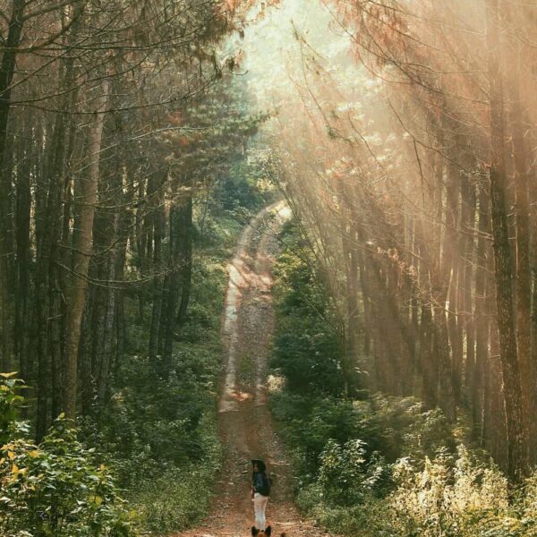 The path to success is paved with perseverance and hard work.
-

Photo by  #expl...