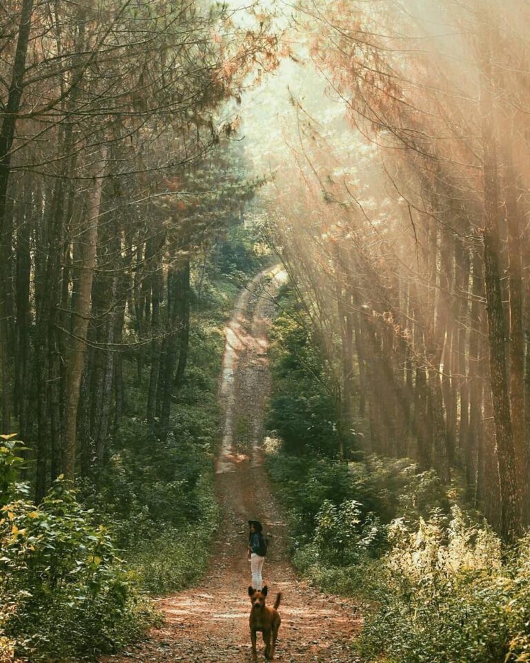 The path to success is paved with perseverance and hard work.
-

Photo by  #expl...