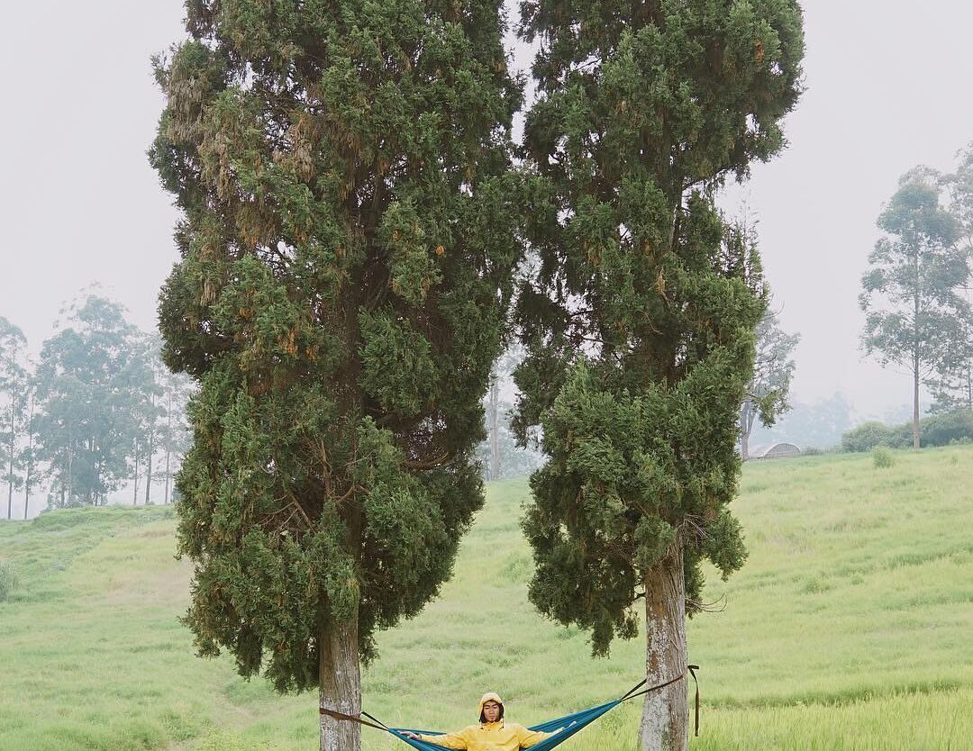 The picture itself speaks for the blissful greenery breeze.
-
taken by  
#explor...