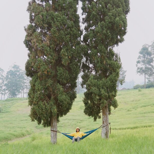 The picture itself speaks for the blissful greenery breeze.
-
taken by  
#explor...