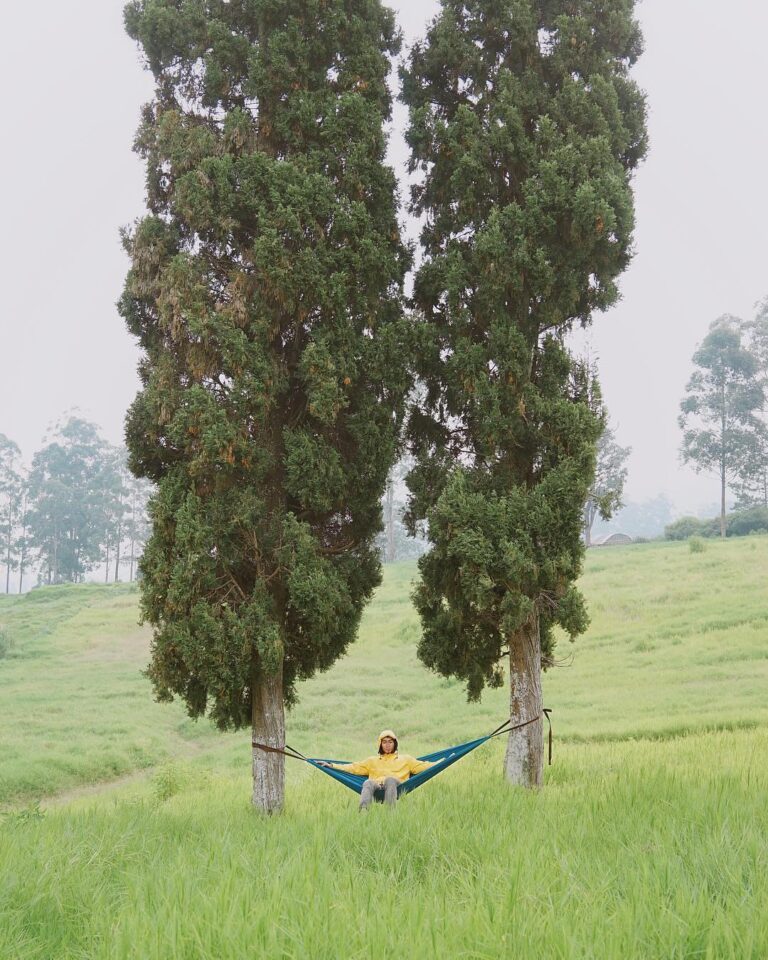 The picture itself speaks for the blissful greenery breeze.
-
taken by  
#explor...