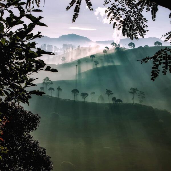 The sun beams its light through the sky giving you a heavenly scenery of Pangale...