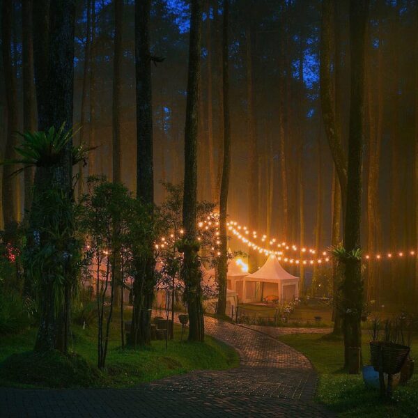 The warm light creates perfect environment for our body to simply relax and our ...