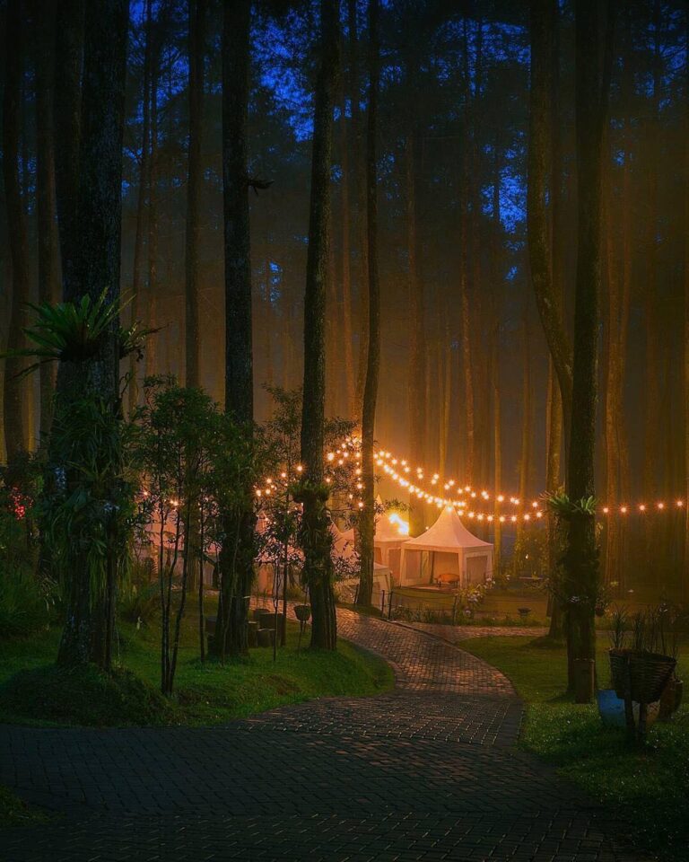 The warm light creates perfect environment for our body to simply relax and our ...