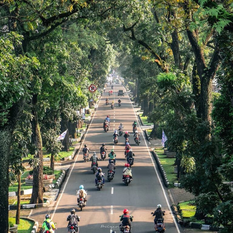 There's nothing more comfortable than enjoying the city in the morning.
Photo by...