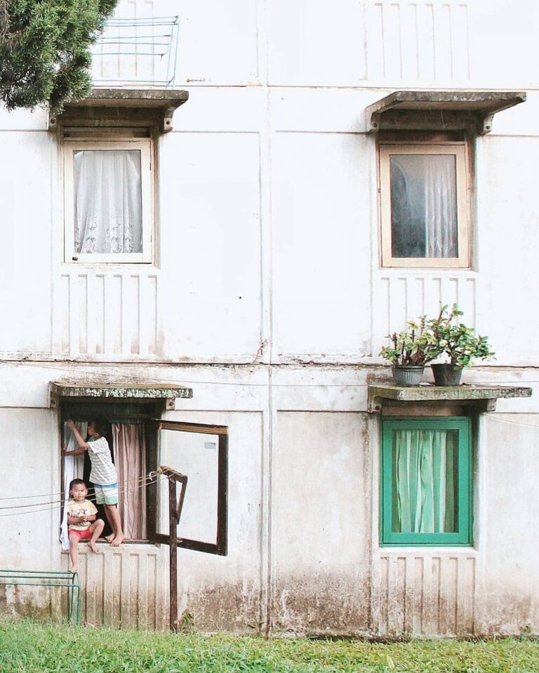 Two siblings spotted at their flat’s window. Wonder what conversations they had....