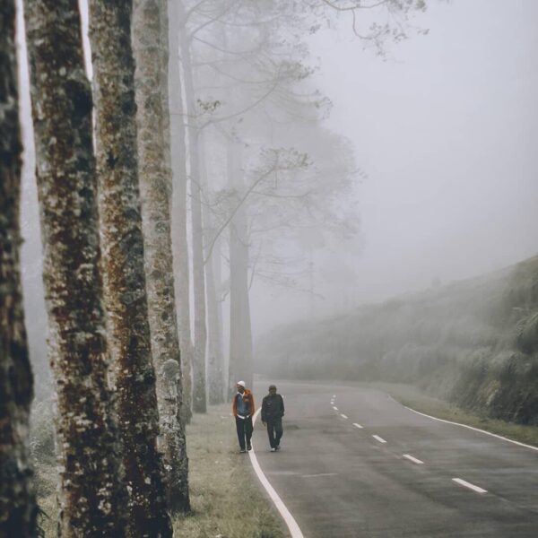 Walk side by side with me in this journey. Captured by  
#explorebandung...