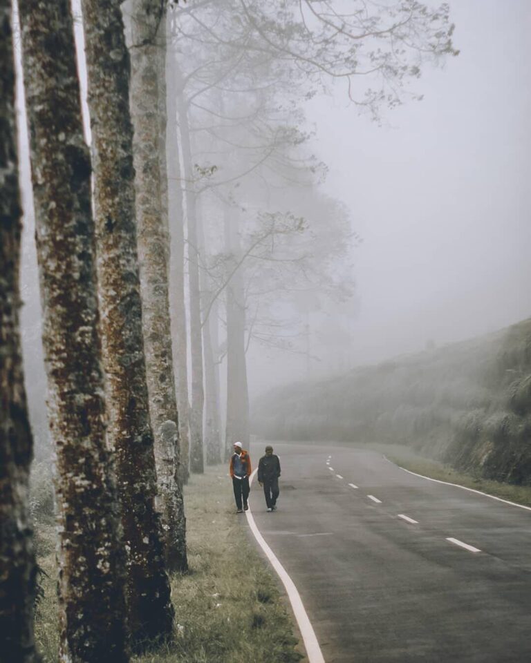Walk side by side with me in this journey. Captured by  
#explorebandung...