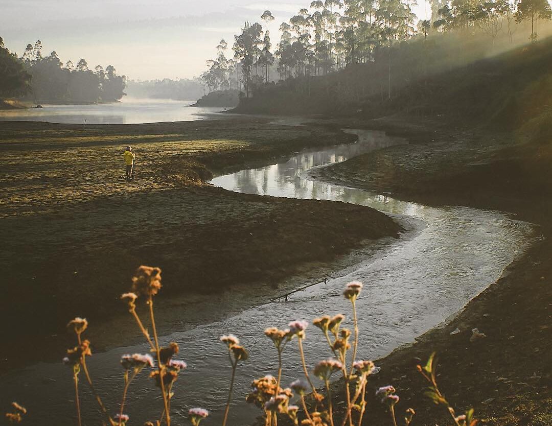 Wonderland feels of one fine morning in Pangalengan.
-

Photo by  #explorebandun...