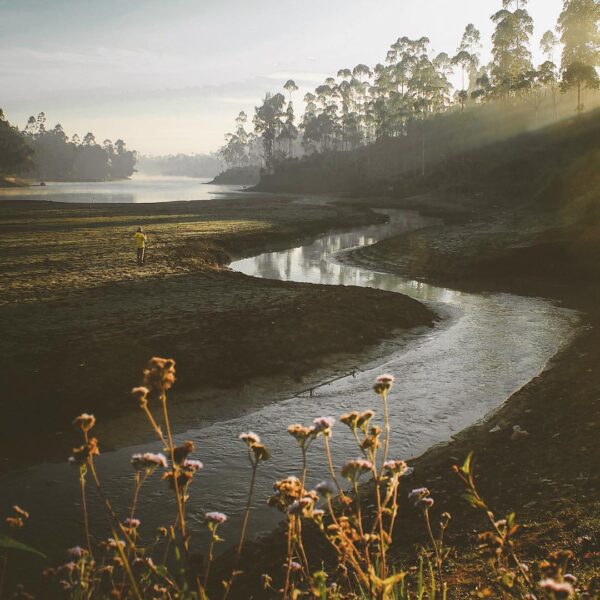 Wonderland feels of one fine morning in Pangalengan.
-

Photo by  #explorebandun...