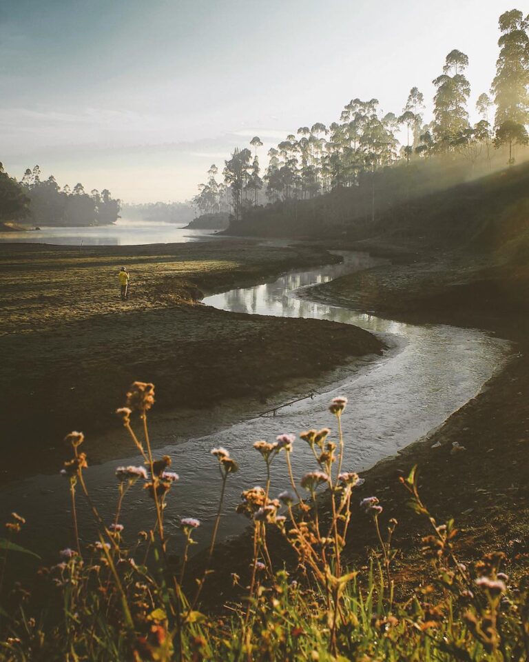 Wonderland feels of one fine morning in Pangalengan.
-

Photo by  #explorebandun...