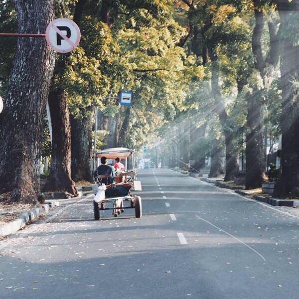 can you feel it coming? the sun ray hitting through the trees; it’s the beginnin...