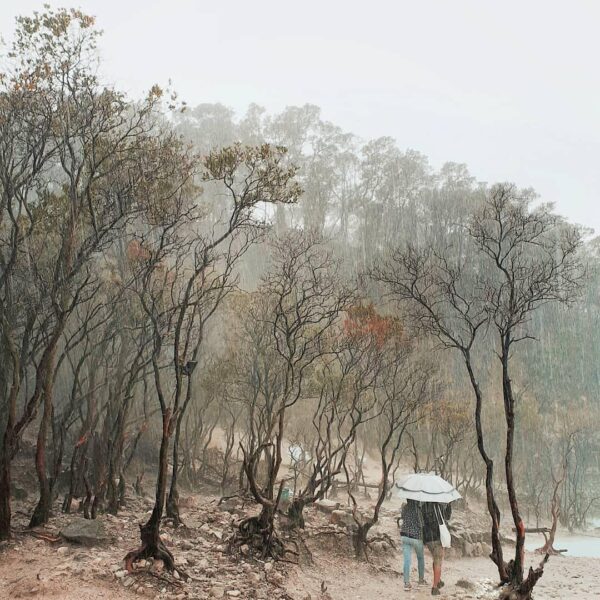 memories of a good old days will always have something in store to reminisce.
-
...