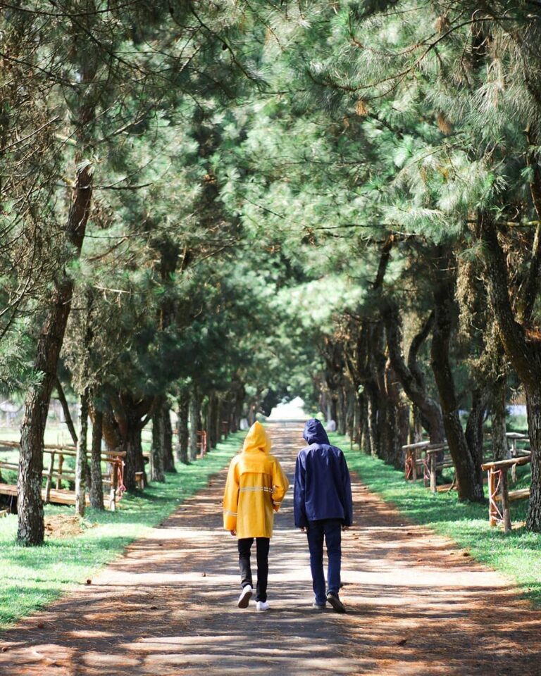 walking side to side, share our ideas and may the universe make them happen.

Ca...