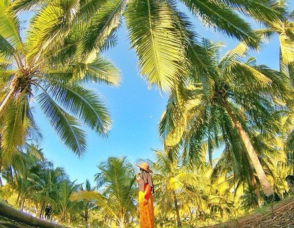 Location : Bangka Island, Kepulauan Bangka Belitung, Indonesia.

Photo by :  
Ba...