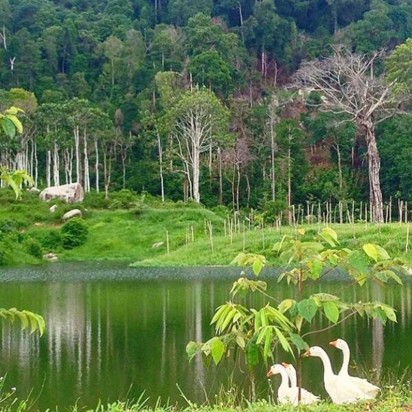 Location : Bangkanesia, Desa Sadap, Kabupaten Bangka Tengah, Bangka Island, Indo...