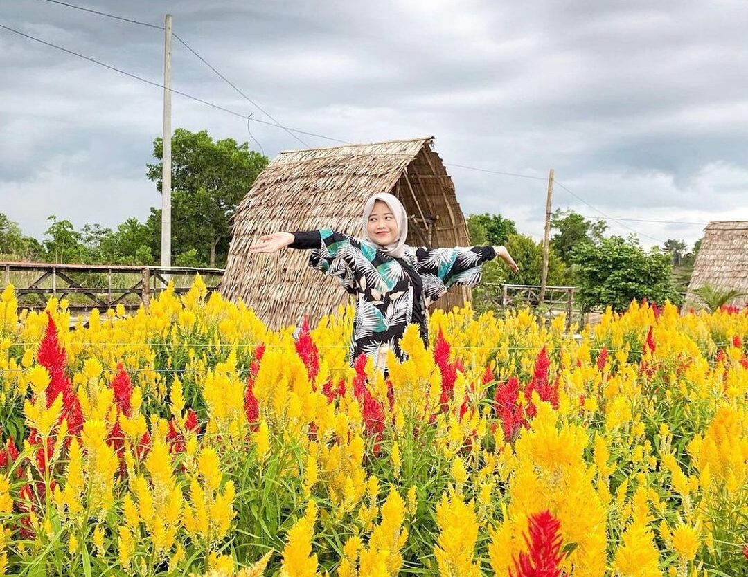 Location : Taman Bunga Celosia Garden Ake, Sungailiat, Kabupaten Bangka, Bangka ...