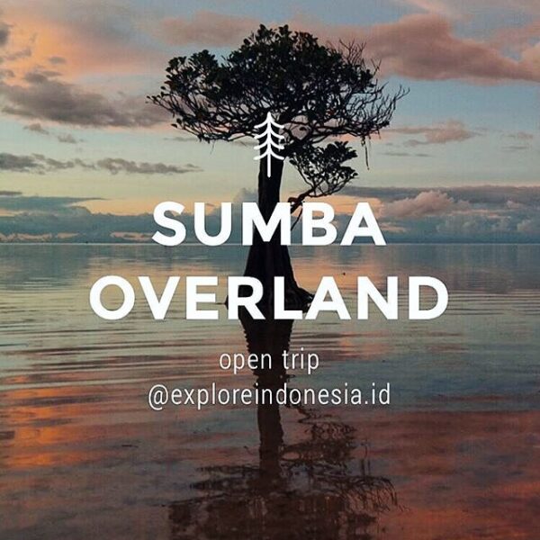 Tell us, when was the last time you explore the beauty of green savannah, sand o...