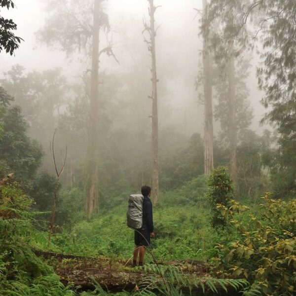 #explorebima Photo today by  taken at Mt Tambora...