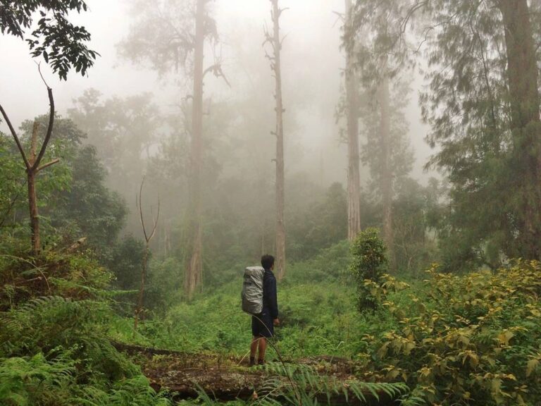 #explorebima Photo today by  taken at Mt Tambora...