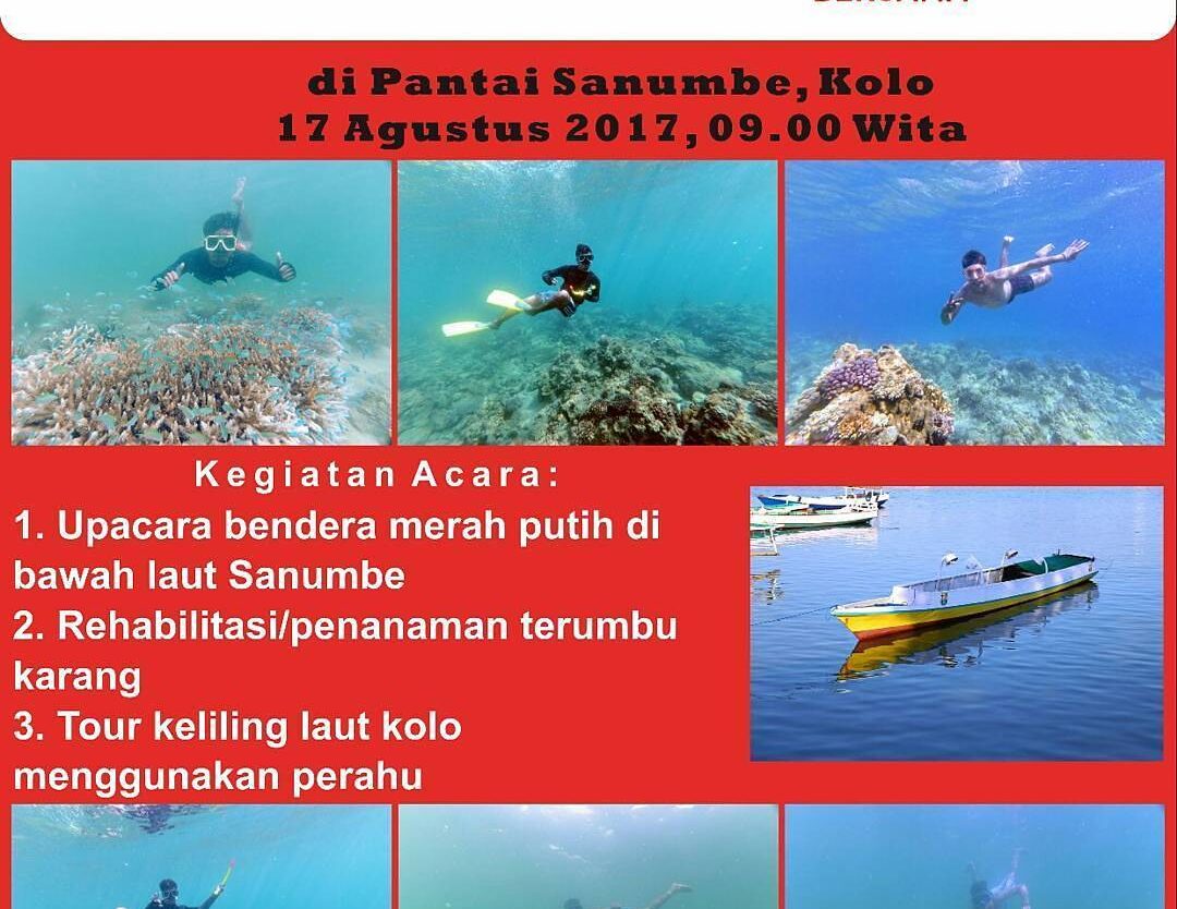 #ebevent



Yuk ikut memeriahkan kegiatan 17 agustus bersama kami, dijamin bakal...