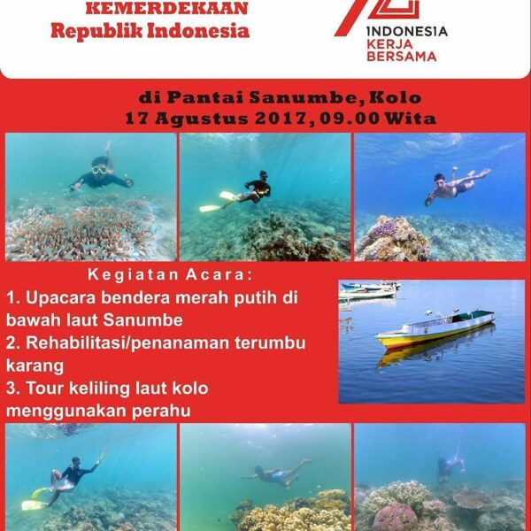 #ebevent



Yuk ikut memeriahkan kegiatan 17 agustus bersama kami, dijamin bakal...